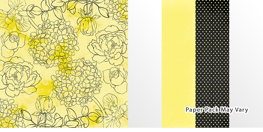 clubq032025-paperpk.jpg